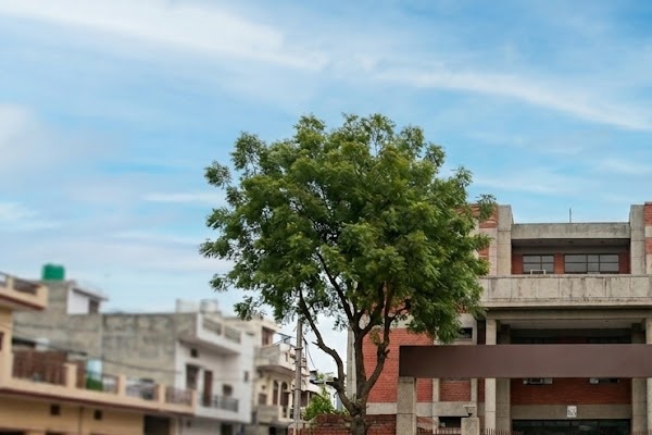 Birla Open Minds International School, Lucknow